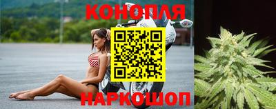 Альфа ПВП Комсомольск-на-Амуре