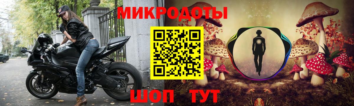 Псилоцибиновые грибы Cubensis Крымск